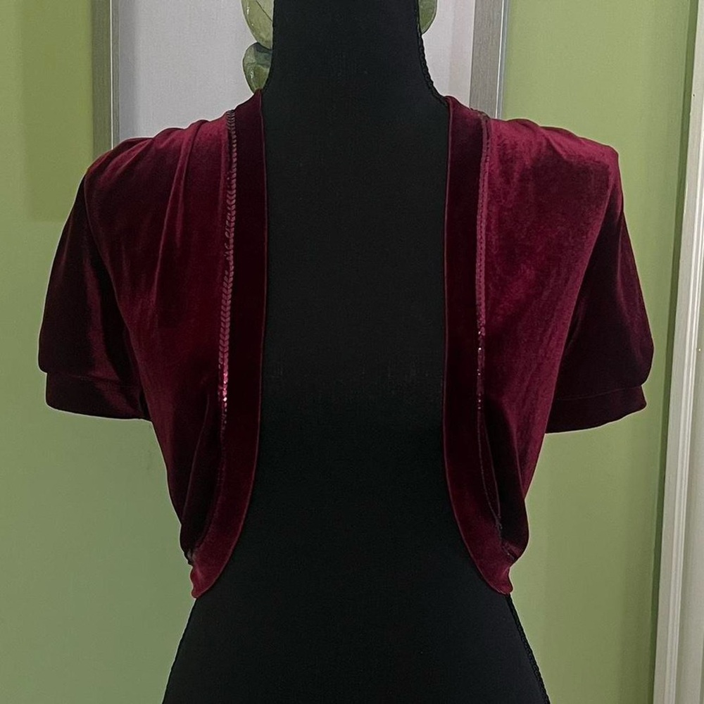Vintage early 2000s y2k whimsical gothic mini burgundy velvet top